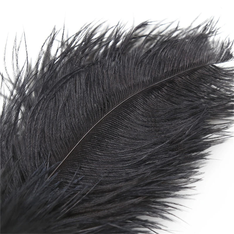 sleek black ostrich feather tickler wand for ddlg and kawaii sensation play, soft and lightweight for teasing fun