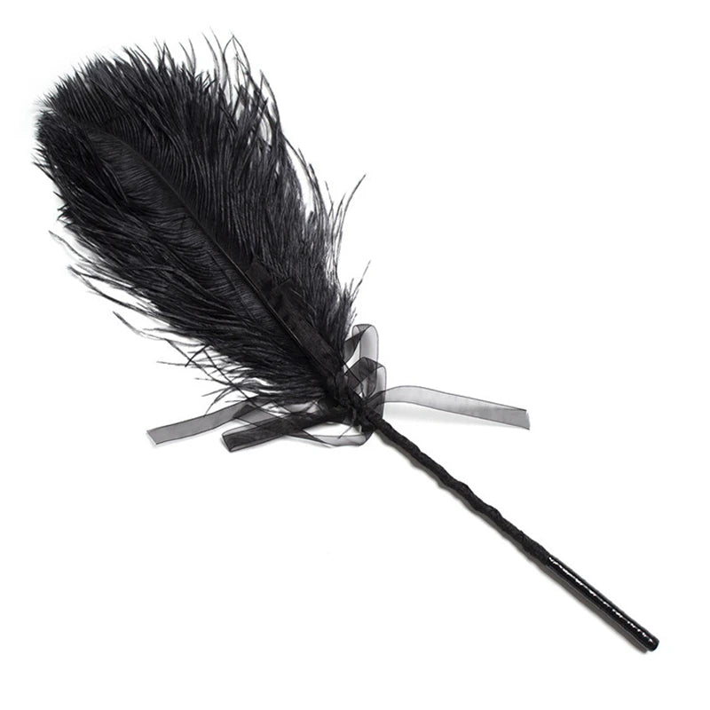 dark black ostrich feather tickler perfect for ddlg and kawaii playful teasing, soft and elegant sensation toy