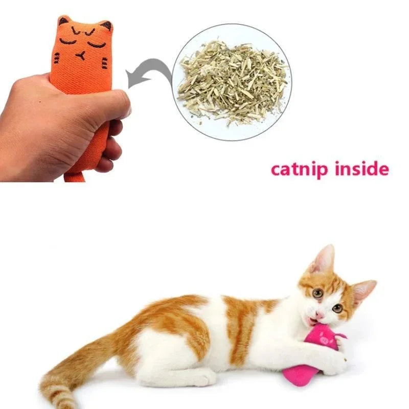 Kawaii catnip plush pillow infographic showing calming catnip filling