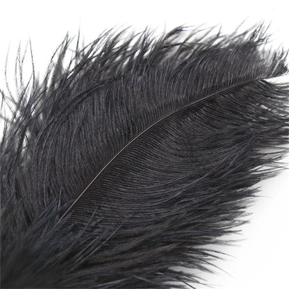 sleek black ostrich feather tickler wand for ddlg and kawaii sensation play, soft and lightweight for teasing fun