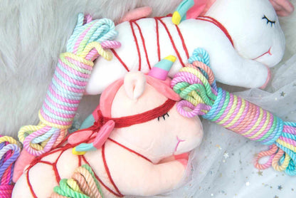Magical Rainbow Shibari Rope ddlg abdl kawaii cosplay accessory for kinky cute roleplay