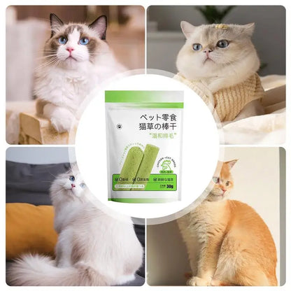 Soft Girl Kawaii Cat Grass Chews, natural plant fiber sticks for healthy teeth, digestion, and fun chewing